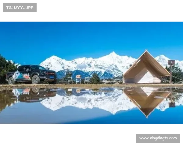 探秘神兽森林秘境之旅体验自然奇观与未知惊喜是否值得前往