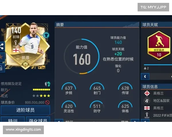 哈里凯恩的足球传奇之路与辉煌成就全景探析