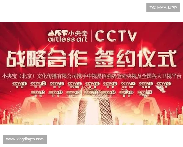 如何全面了解安联赞助商的背景信息与合作伙伴关系