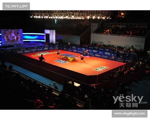 揭秘中国队明年赛场全景精彩亮点全面深度回顾与前瞻解析